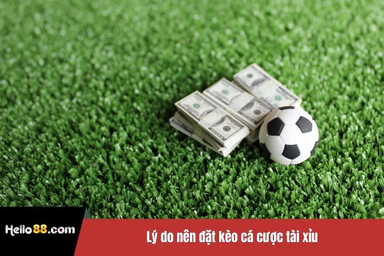 Lý do nên đặt kèo cá cược tài xỉu